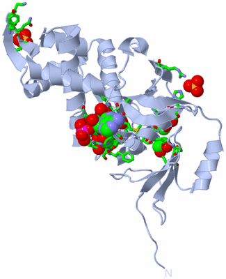 Image Biol. Unit 1 - sites