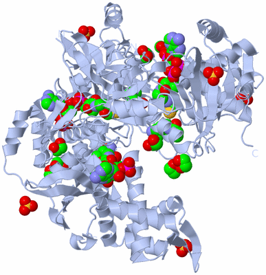 Image Biological Unit 2