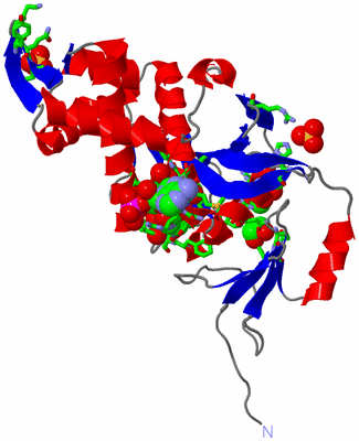 Image Asym. Unit - sites