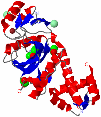 Image Asym./Biol. Unit