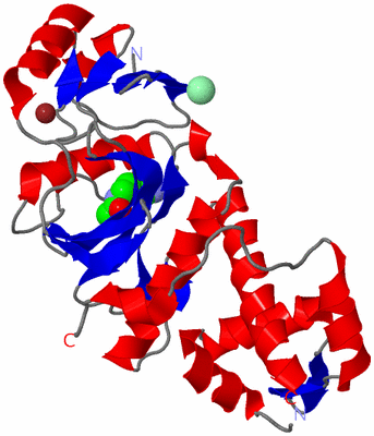 Image Asym./Biol. Unit