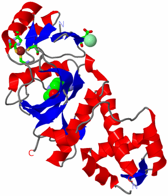 Image Asym./Biol. Unit - sites