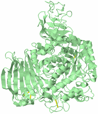 Image Biological Unit 2