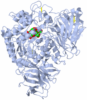 Image Biological Unit 1