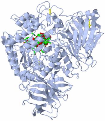 Image Biol. Unit 1 - sites