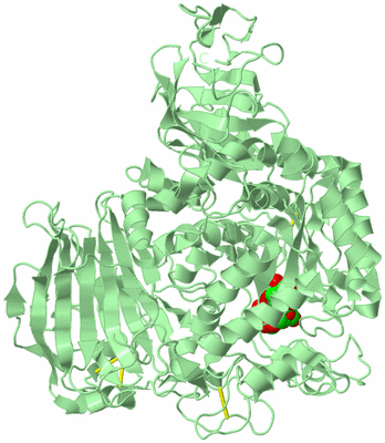 Image Biological Unit 2