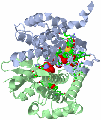 Image Asym./Biol. Unit - sites