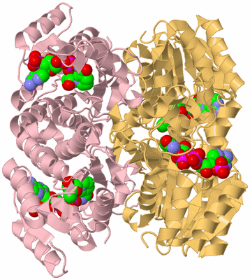 Image Biological Unit 2