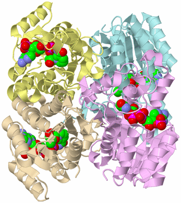 Image Biological Unit 3