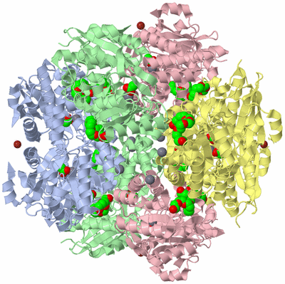 Image Biological Unit 1