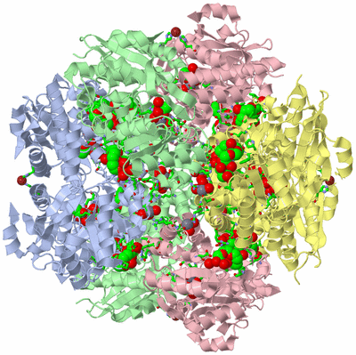 Image Biol. Unit 1 - sites