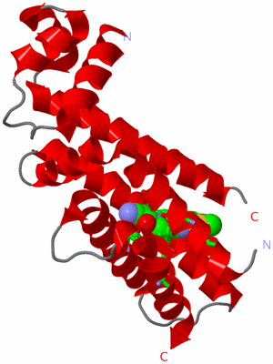 Image Asym. Unit - sites