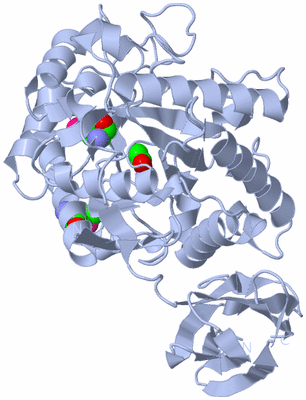 Image Biological Unit 1