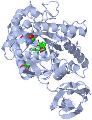 Image Biol. Unit 1 - sites