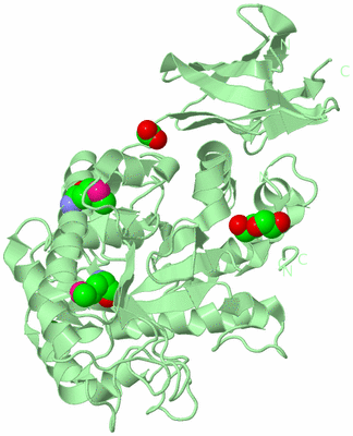 Image Biological Unit 2