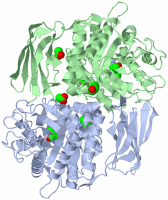 Image Biological Unit 3