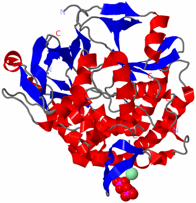 Image Asym./Biol. Unit