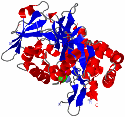 Image Asym./Biol. Unit