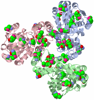 Image Biological Unit 1