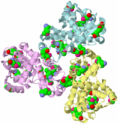 Image Biological Unit 2