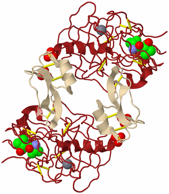 Image Biological Unit 3