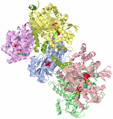 Image Asym./Biol. Unit