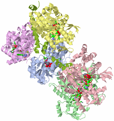 Image Asym./Biol. Unit - sites