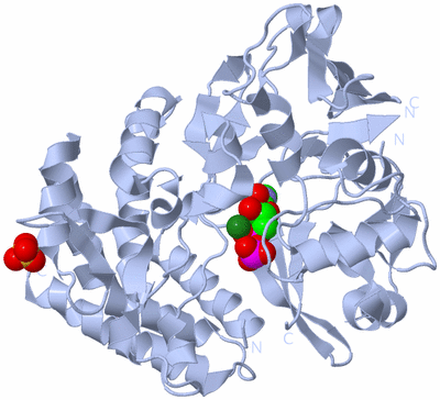 Image Biological Unit 1