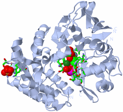 Image Biol. Unit 1 - sites