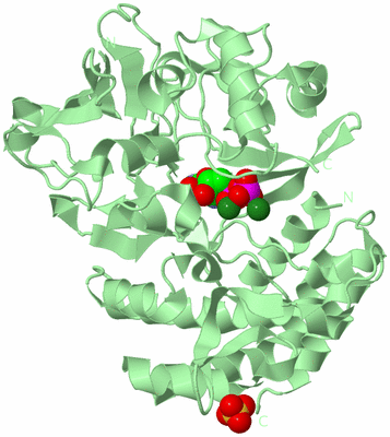 Image Biological Unit 2