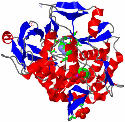 Image Asym./Biol. Unit - sites