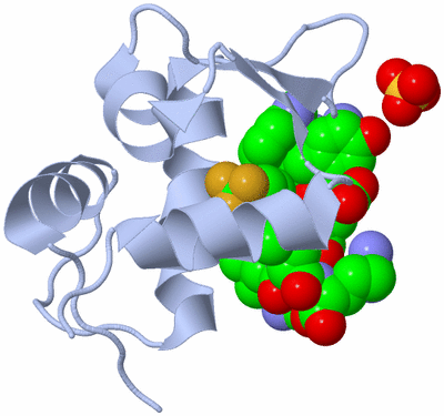 Image Biological Unit 1