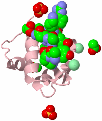 Image Biological Unit 2