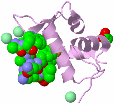 Image Biological Unit 3