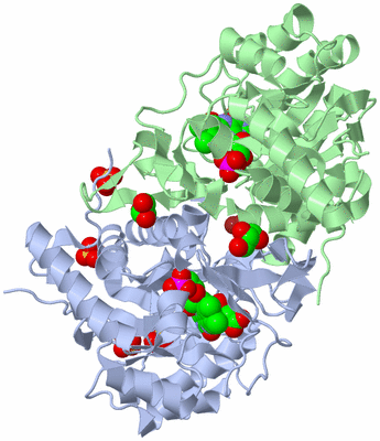 Image Asym./Biol. Unit