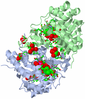 Image Asym./Biol. Unit - sites