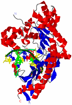 Image Asym./Biol. Unit