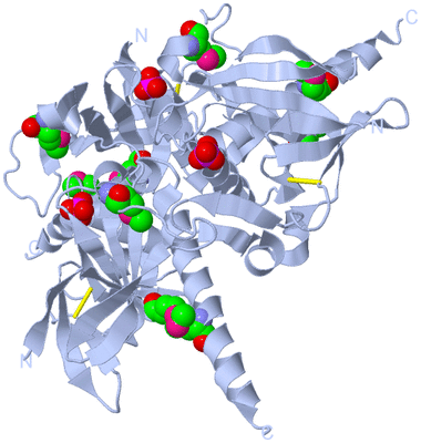 Image Biological Unit 1