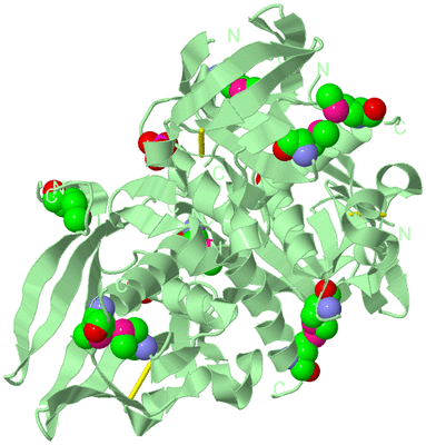 Image Biological Unit 2