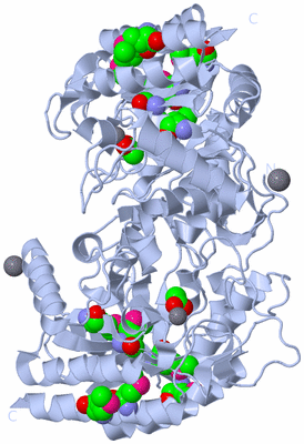 Image Biological Unit 1