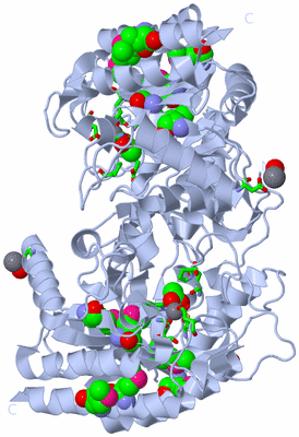 Image Biol. Unit 1 - sites