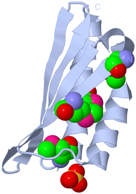 Image Biological Unit 1