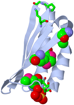 Image Biol. Unit 1 - sites