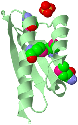 Image Biological Unit 2