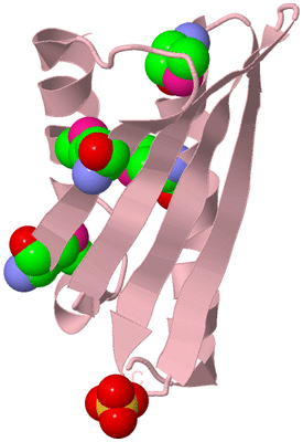 Image Biological Unit 3