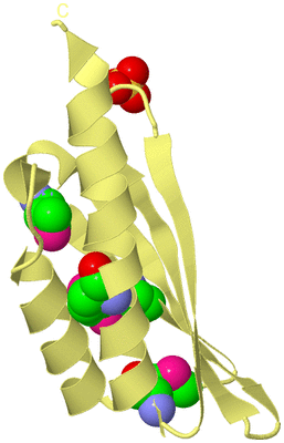 Image Biological Unit 4