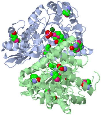 Image Asym./Biol. Unit