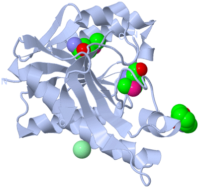 Image Biological Unit 1