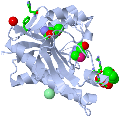 Image Biol. Unit 1 - sites