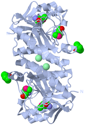 Image Biological Unit 2